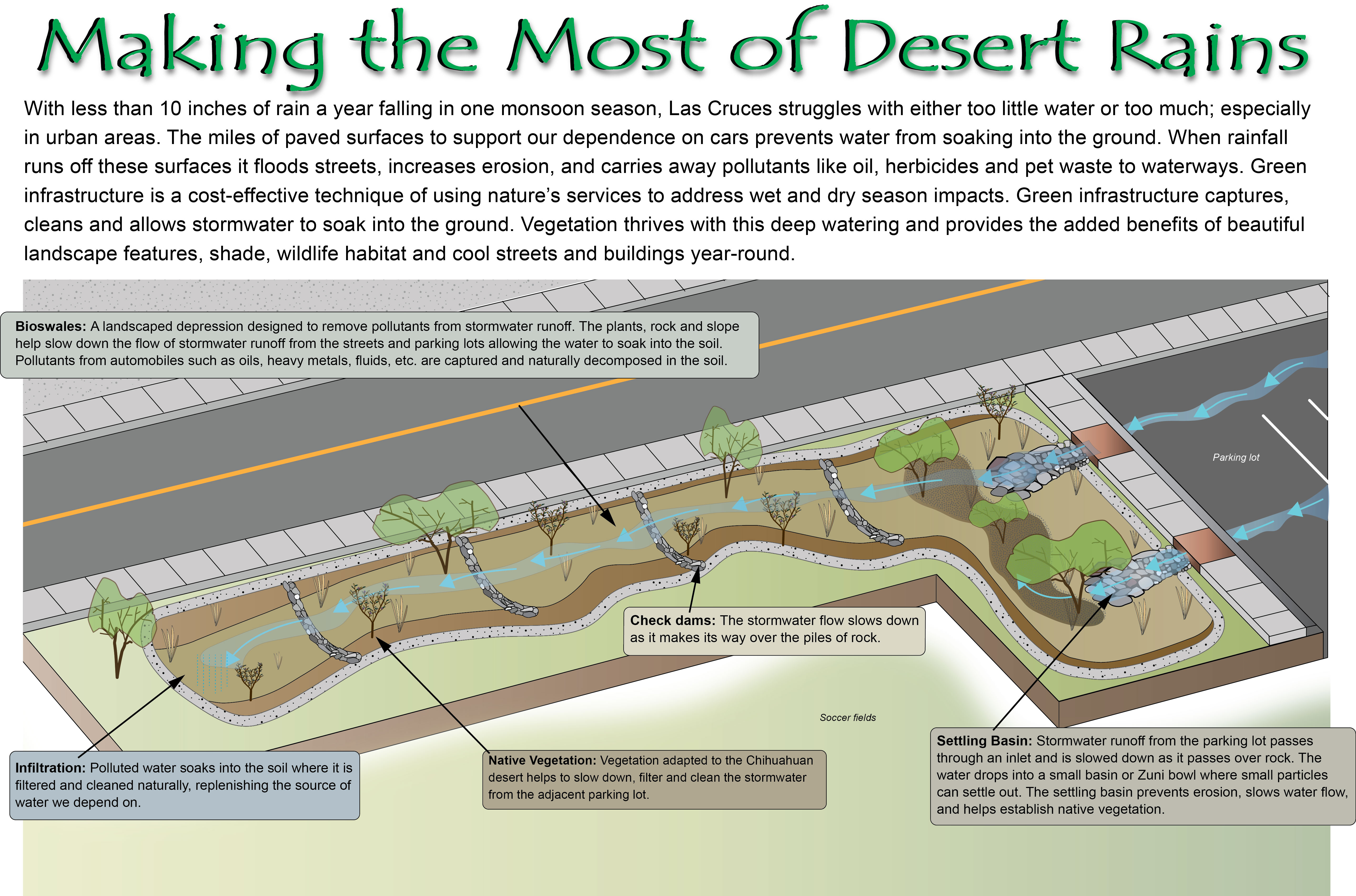 Green Infrastructure Bioswale